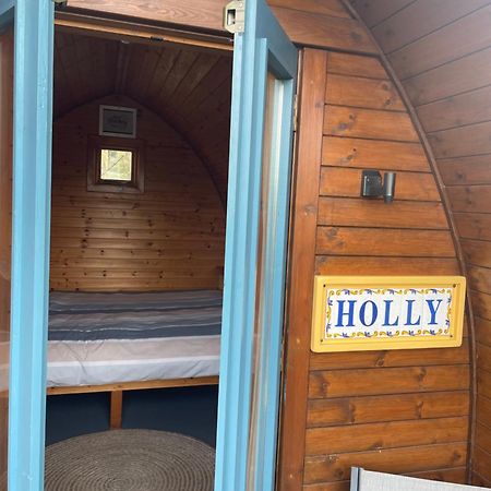 Hotel Glamping In The 2Nd Field à Aughrim Extérieur photo