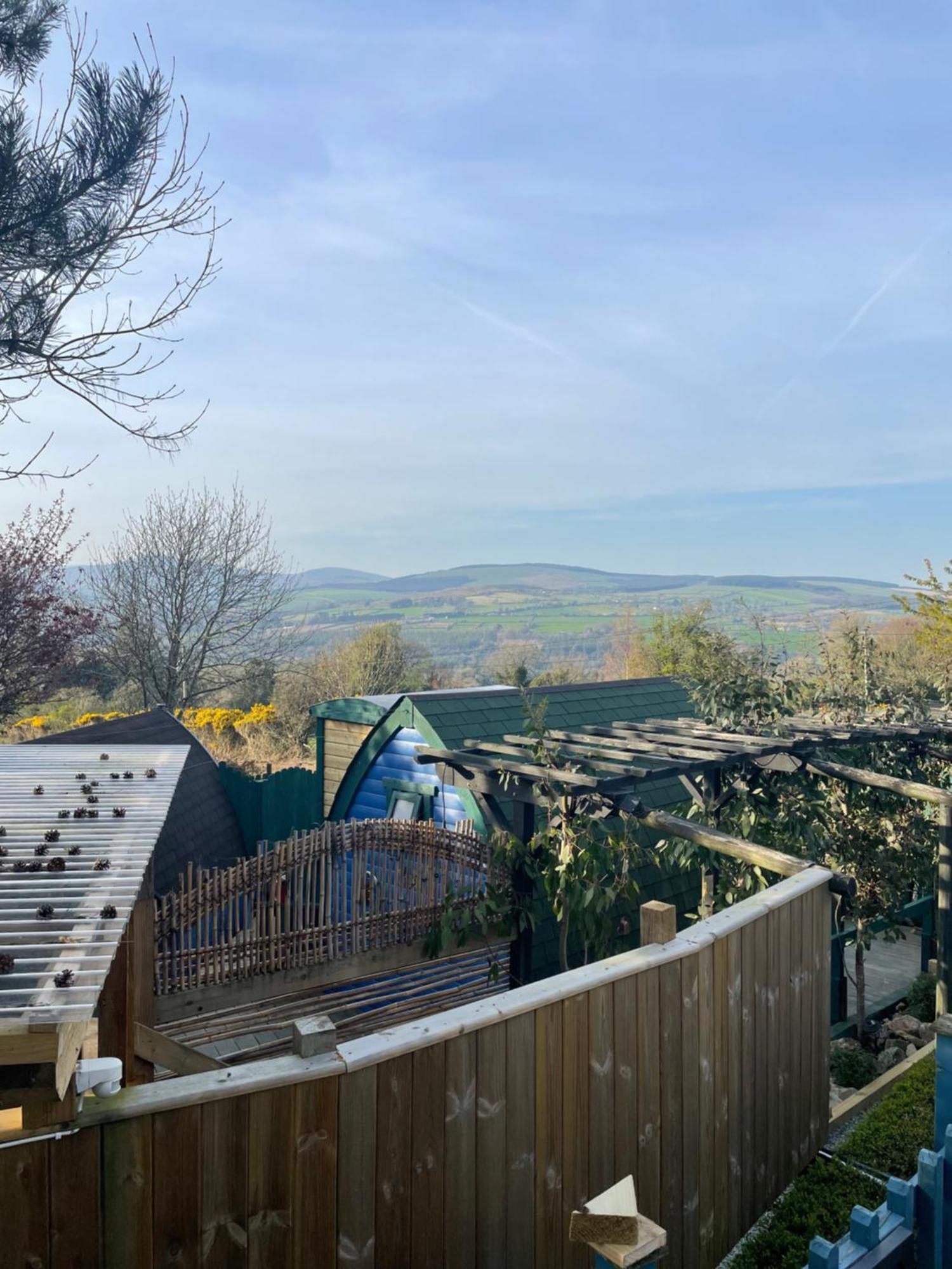 Hotel Glamping In The 2Nd Field à Aughrim Extérieur photo